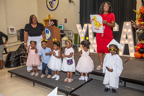 2025 YWCA 213
