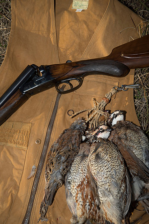 covey rise bird hunt 269