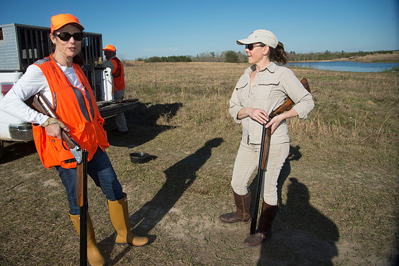 covey rise bird hunt 180