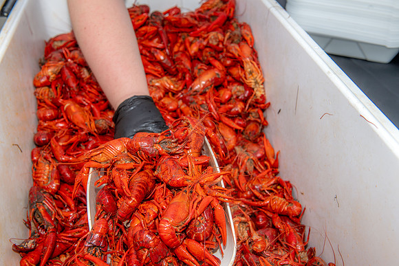 2025 Seafood gala 122