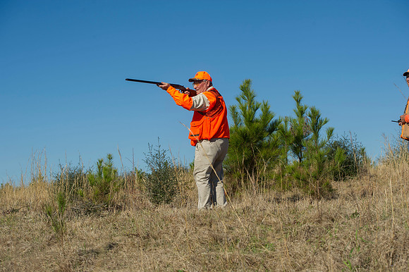 covey rise bird hunt 029