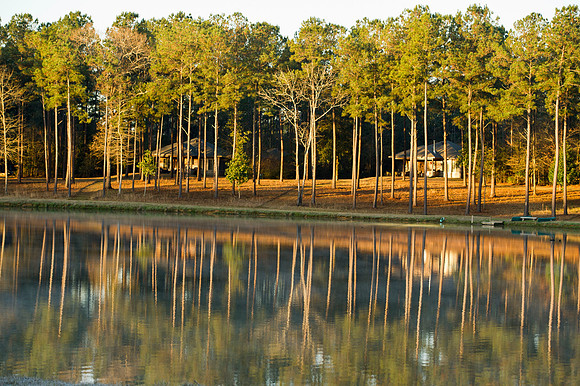 Covey Rise 115