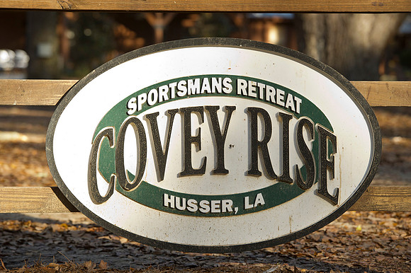 Covey Rise 024
