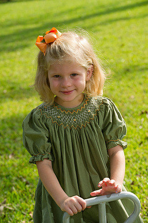 Cotton family 033