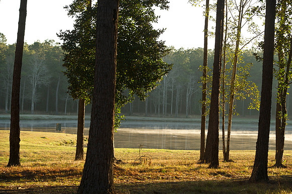 Covey Rise 013