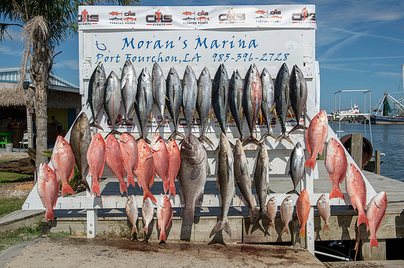 CHS fishing rodeo 2019 239