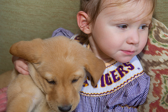 Jolie's puppys 061