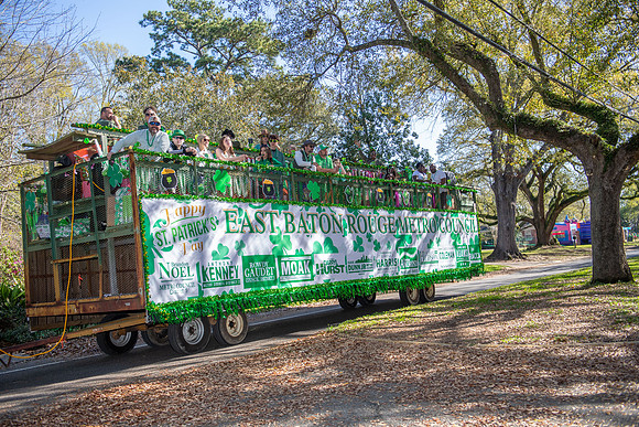 2025 wearinthegreen 014