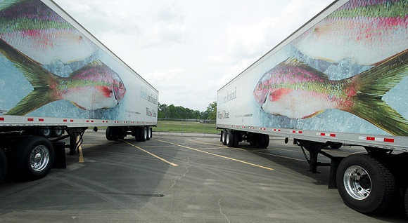 Truck driving championships 101
