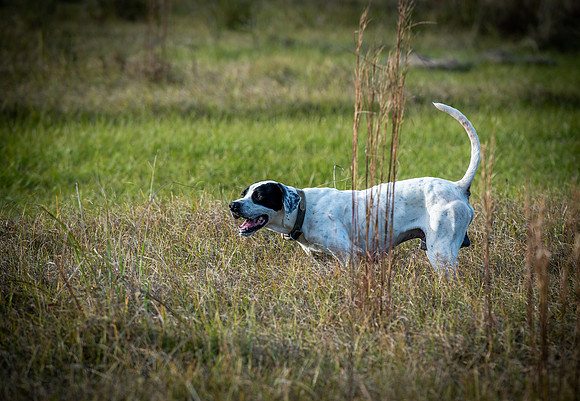 Hayes Garrett hunt 038