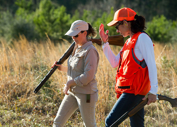 covey rise bird hunt 085