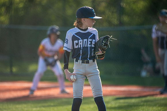 Canes041