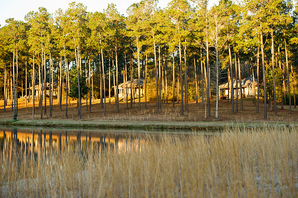 Covey Rise 118