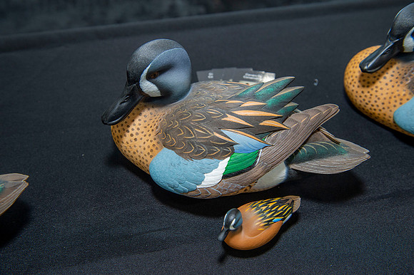wild night 2019 017
