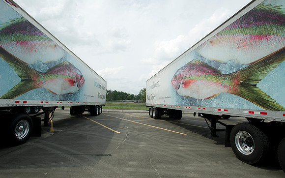 Truck driving championships 103