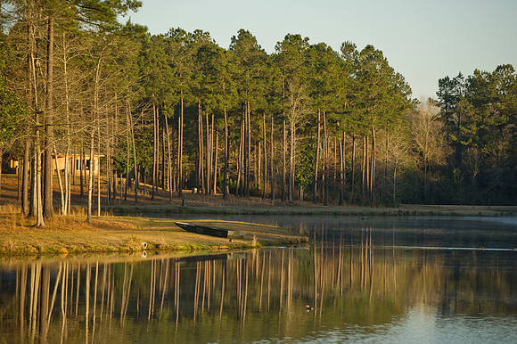 Covey Rise 131