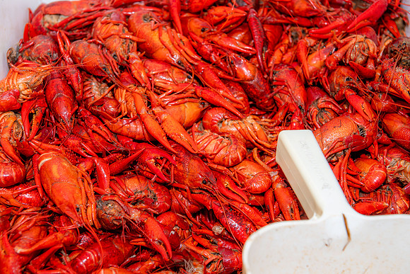 2025 Seafood gala 120
