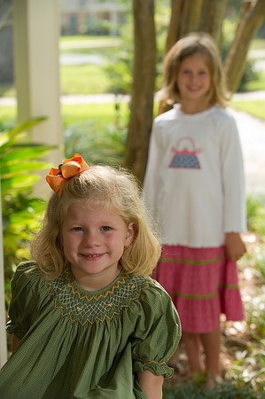 Cotton family 091