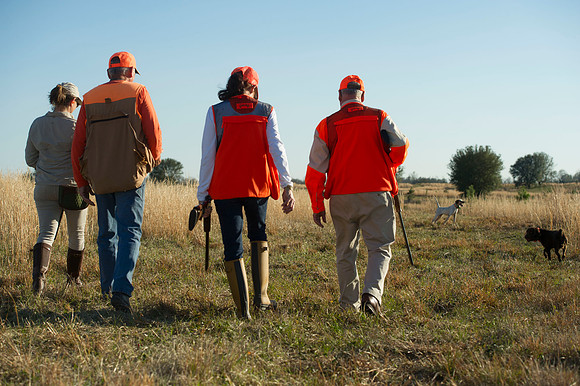 covey rise bird hunt 091