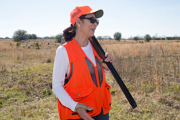 covey rise bird hunt 125