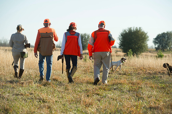 covey rise bird hunt 095