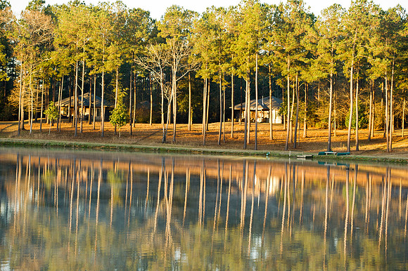 Covey Rise 114
