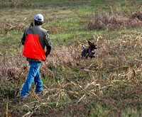 Field trial 014
