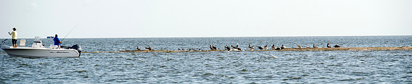 CCA Legislative fishing rodeo 273