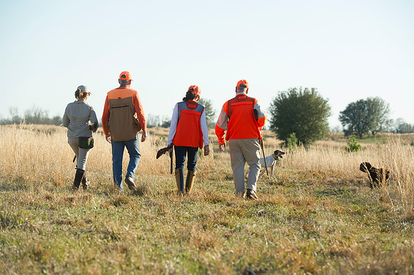 covey rise bird hunt 096