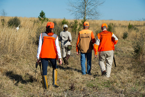 covey rise bird hunt 031