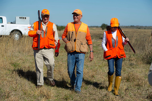 covey rise bird hunt 010