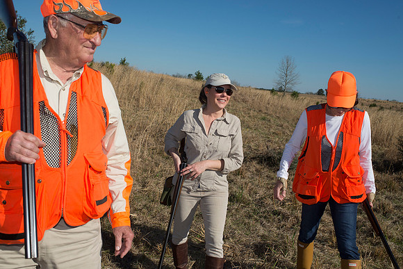 covey rise bird hunt 165