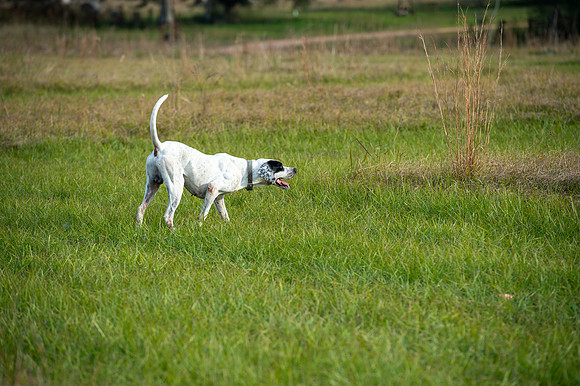 Hayes Garrett hunt 044