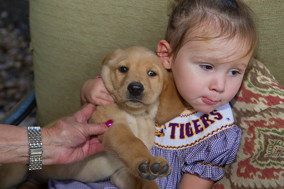 Jolie's puppys 060