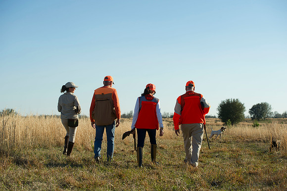 covey rise bird hunt 093