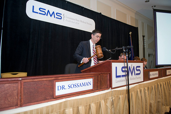 LSMS 2015 146
