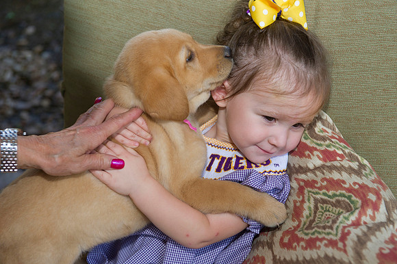 Jolie's puppys 059