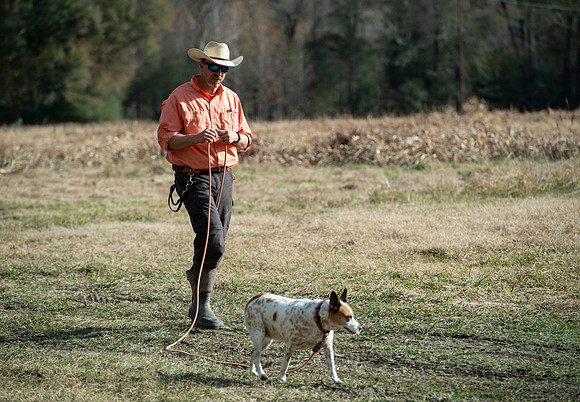 Field trial 007